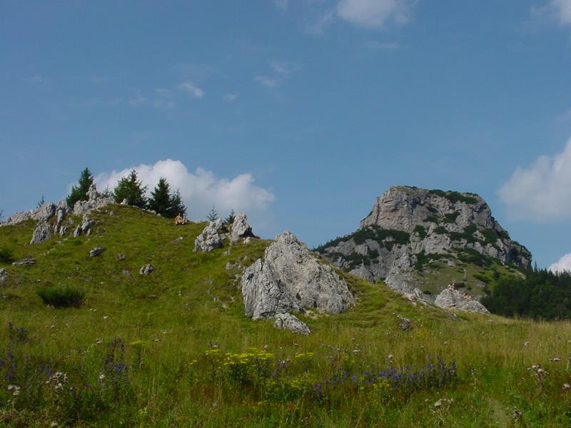 dsc07834.jpg