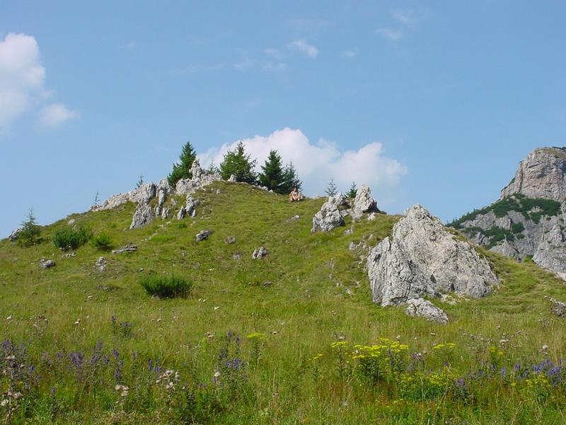 dsc07835.jpg