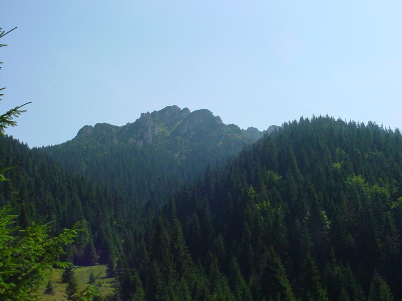 dsc07836.jpg