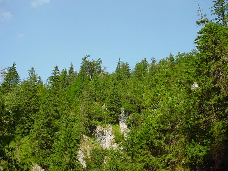dsc07847.jpg
