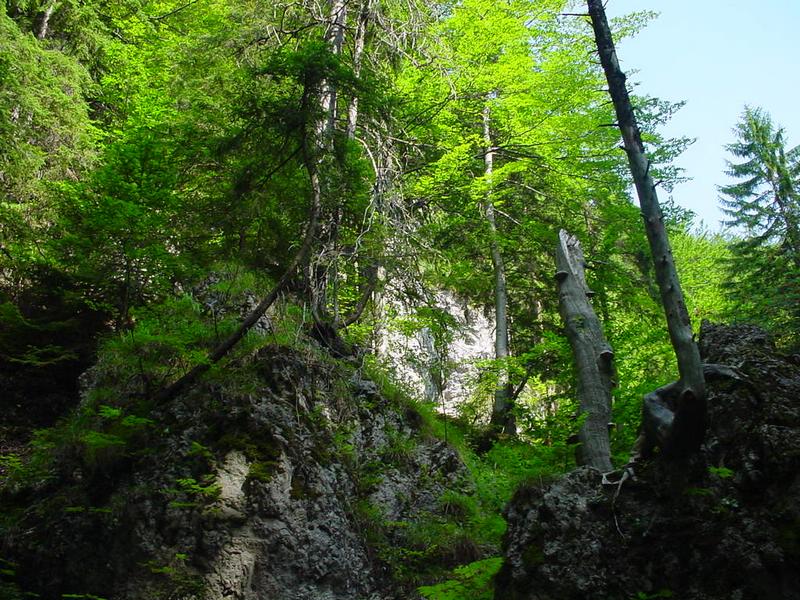 dsc07859.jpg