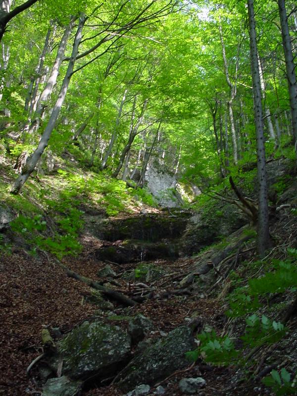 dsc07862.jpg