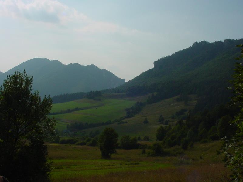 dsc07880.jpg