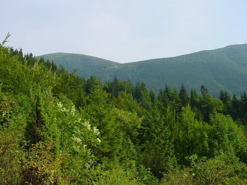 dsc07881.jpg