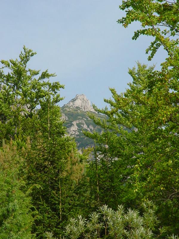 dsc07882.jpg