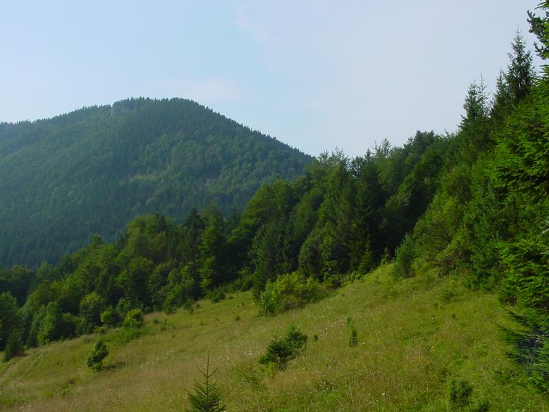 dsc07883.jpg