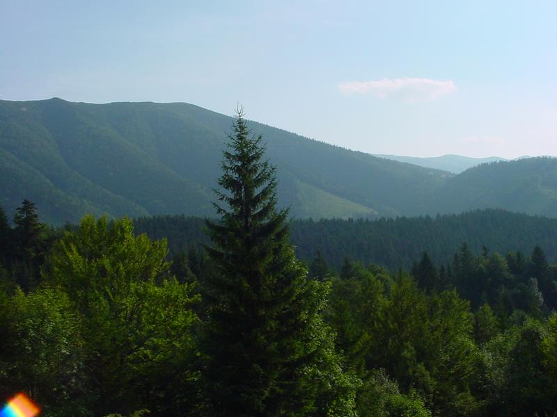 dsc07884.jpg