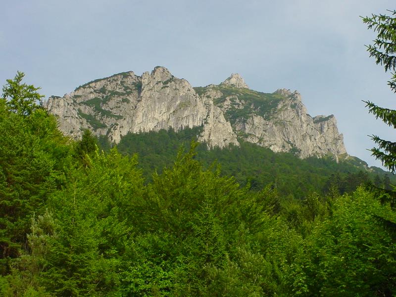 dsc07886.jpg