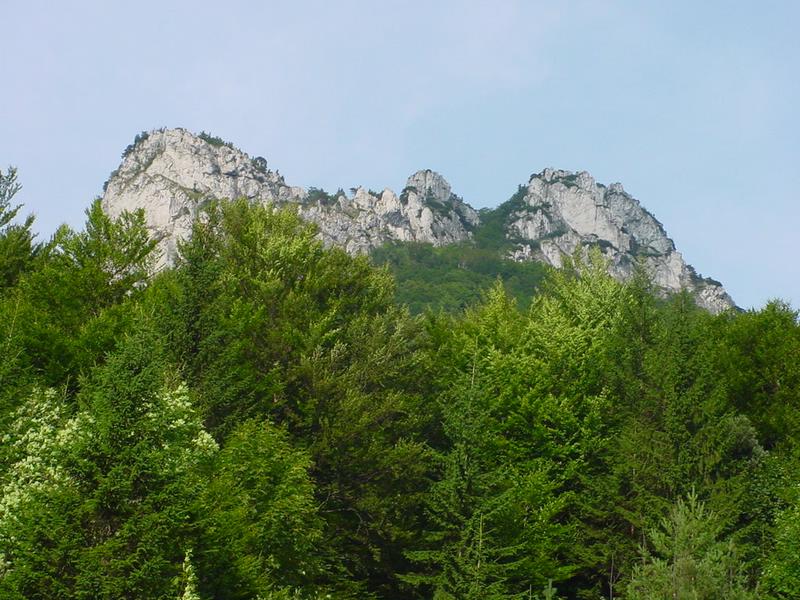 dsc07887.jpg