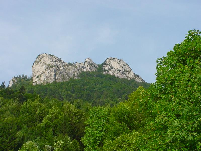 dsc07888.jpg
