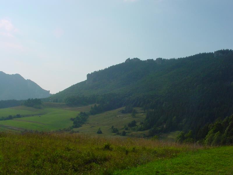 dsc07889.jpg