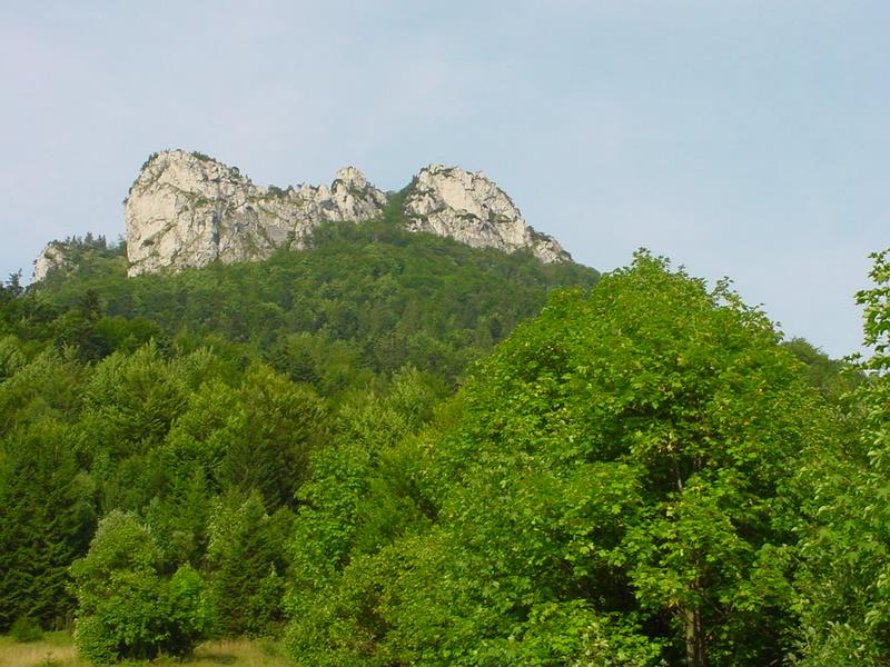 dsc07890.jpg