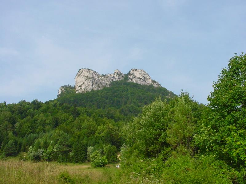 dsc07891.jpg