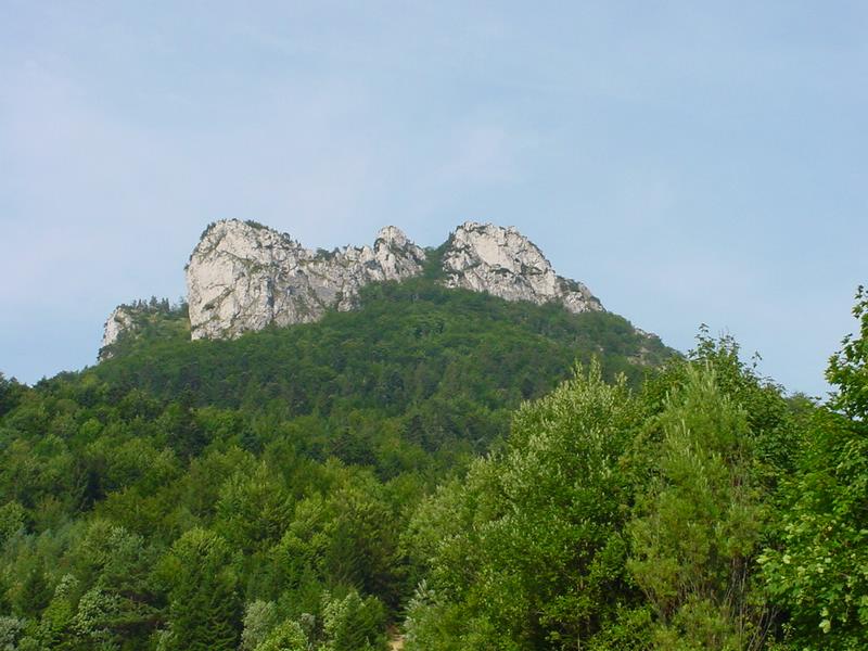 dsc07892.jpg