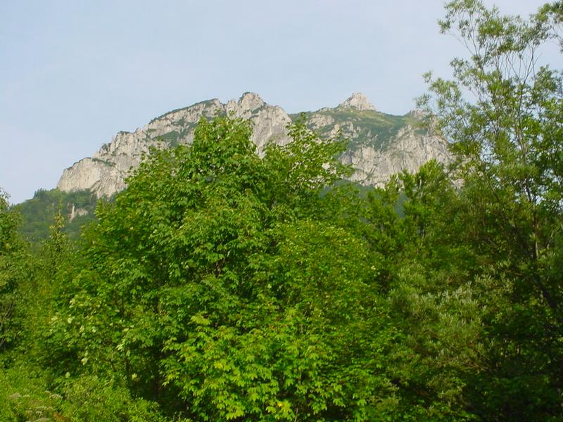 dsc07893.jpg