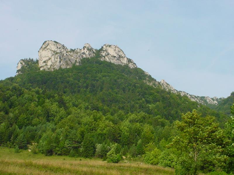 dsc07894.jpg