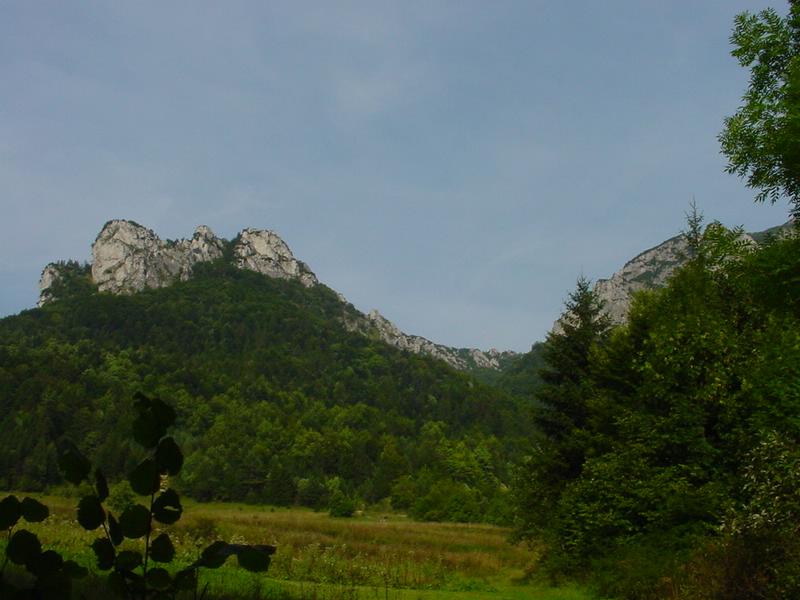dsc07895.jpg