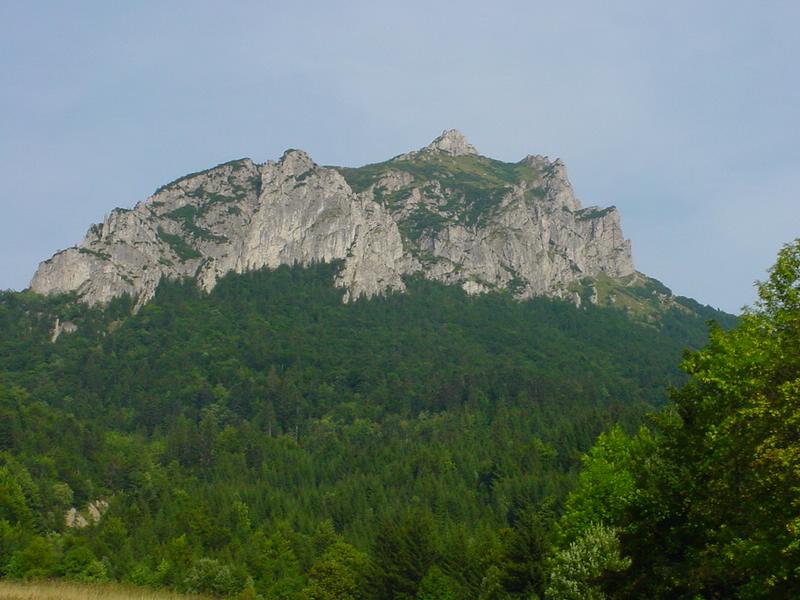 dsc07897.jpg
