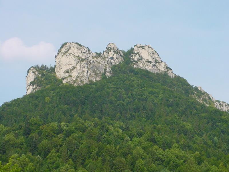dsc07898.jpg