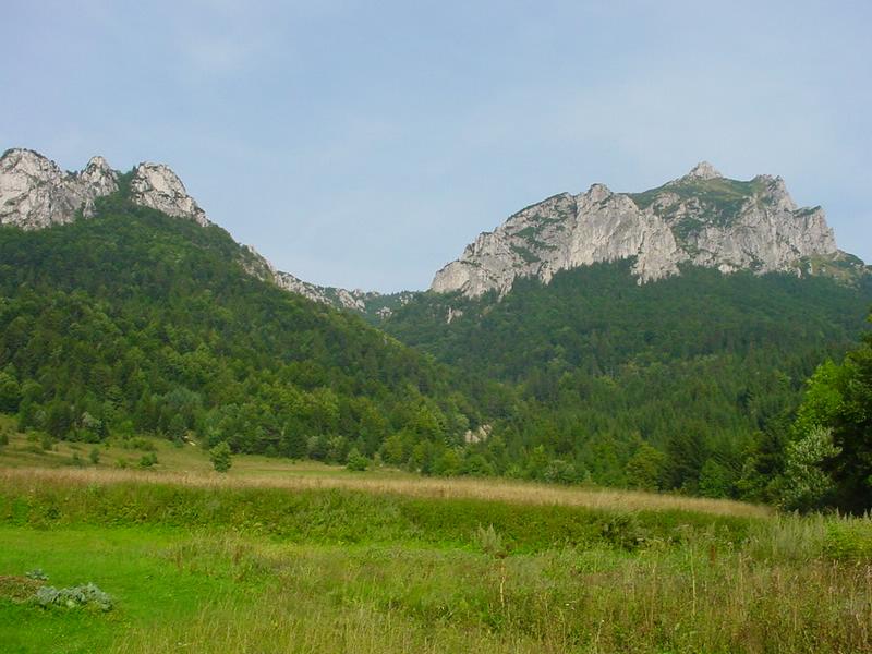 dsc07899.jpg