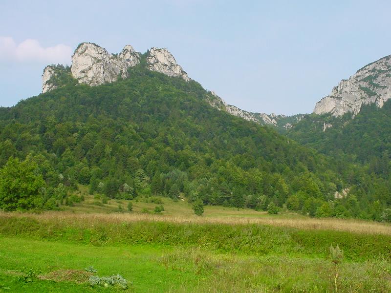 dsc07900.jpg