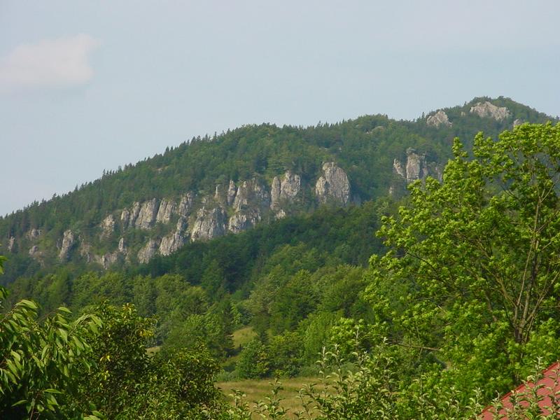dsc07901.jpg