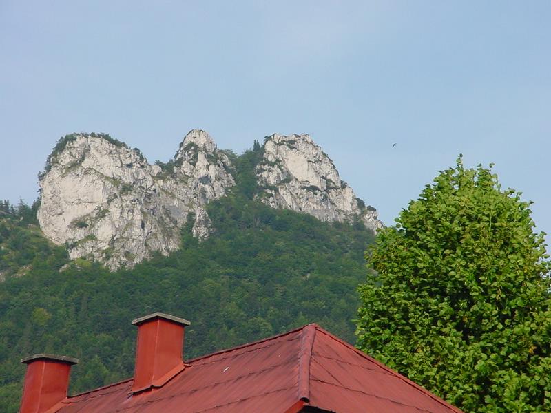 dsc07902.jpg