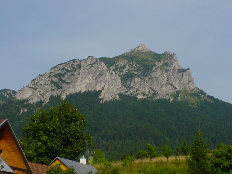 dsc07903.jpg